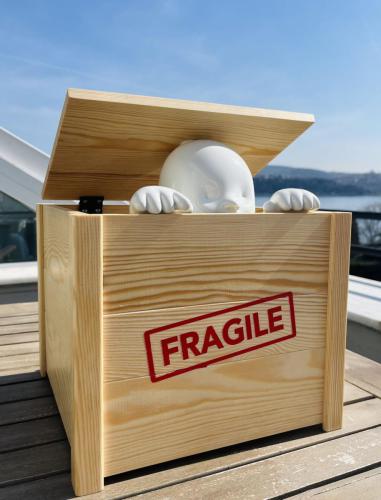 Fragile,2023  33x27cm